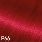 رنگ مو پیگمنت قرمز الیو شماره P66 سری Pigment حجم 100 میلی‌لیتر - Image 2